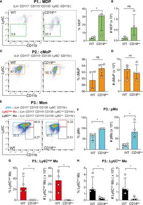CD18 controls the development and activation of monocyte-to-macrophage axis during chronic schistosomiasis